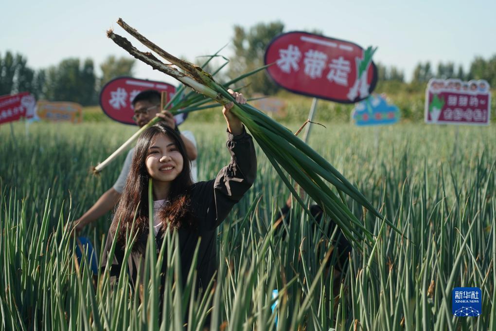 菠菜技术论坛